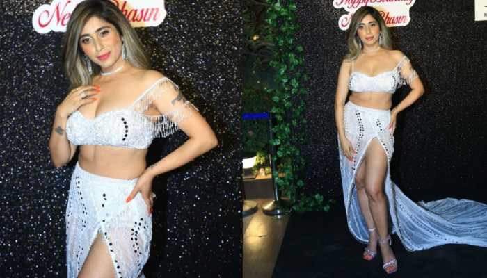 Neha Bhasin gets BRUTALLY trolled for her birthday outfit, netizens say &#039;pool party hai kya...&#039;