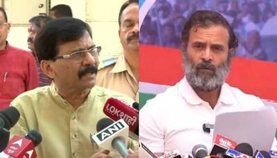  'Can cause strife in MVA': Shiv Sena MP Sanjay Raut on Rahul Gandhi's Savarkar remark
