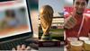 Fifa World cup news