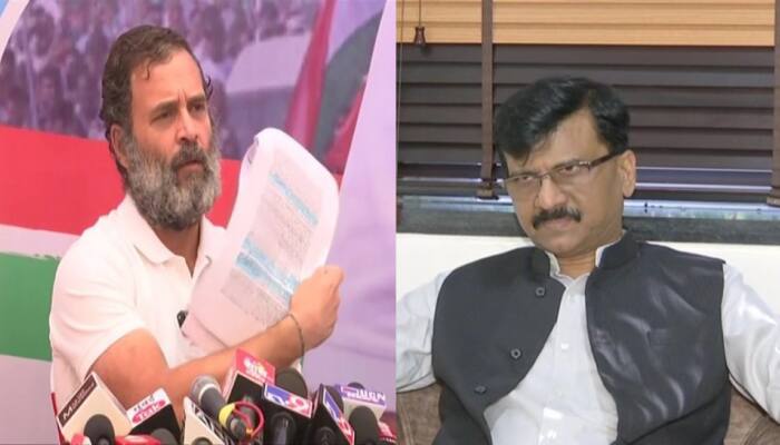 &#039;Neither Savarkar, nor Nehru must be INSULTED&#039;: Sanjay Raut on Rahul Gandhi&#039;s remarks