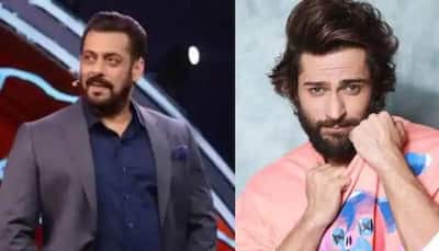 Bigg Boss 16, Shanivaar Ka Vaar updates: Salman chastises Shalin over Sumbul, THIS contestant to stay nominated for the next 4 weeks