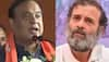 Assam CM Himanta Biswa Sarma MOCKS Rahul Gandhi, says ‘He looks LIKE …’