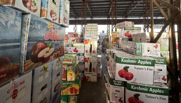 Kashmir&#039;s backbone of economy ‘Apple’ trade faces HUGE loss despite overproduction- Know why