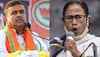 'Bengal's 'BIGGEST THIEF' will be nabbed in December': Suvendu Adhikari attacks Mamata Banerjee govt  