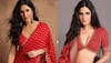 Katrina Kaif's doppelganger Alina Rai spotted, looks HOT in black bodycon dress at Raghav Sharma's birthday bash