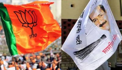 Haryana Panchayat poll results: BJP wins 22 zila parishad seats, AAP also makes its presence felt