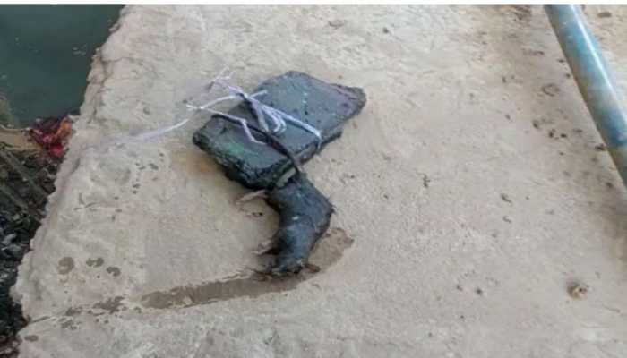 Rat killed after UP man ties a stone to its tail, throws it in a drain; complaint filed
