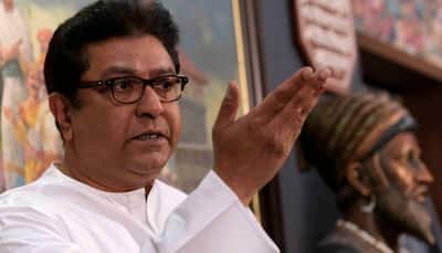 'I don't understand why...': Raj Thackeray fumes over Maharashtra-Karnataka border issue