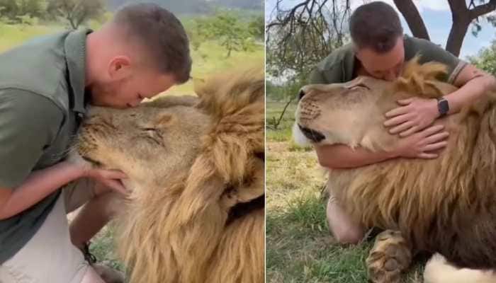 Rare Friendship! Man kisses, cuddles lion; VIRAL video takes internet by storm- WATCH