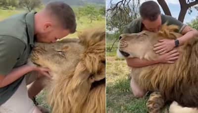Rare Friendship! Man kisses, cuddles lion; VIRAL video takes internet by storm- WATCH