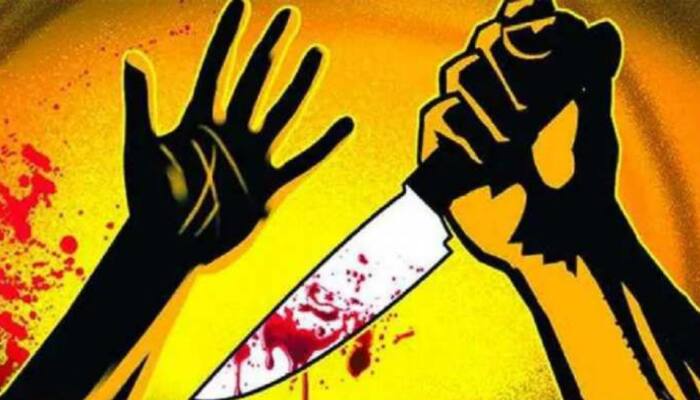 Man kills live-in partner in Delhi&#039;s Tilak Nagar, arrested in Punjab