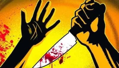 Man kills live-in partner in Delhi's Tilak Nagar, arrested in Punjab