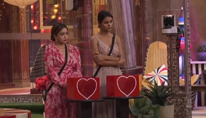 Bigg Boss 16: Housemates think Tina's heart is 'darker' than Priyanka- WATCH