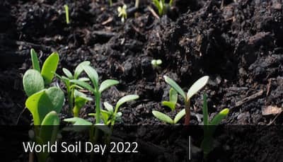 World Soil Day 2022: 'Where the food begins- History, significance and theme of this day