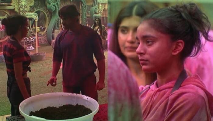 Bigg Boss 16: Priyanka, Shalin team up against Sumbul in captaincy task- WATCH