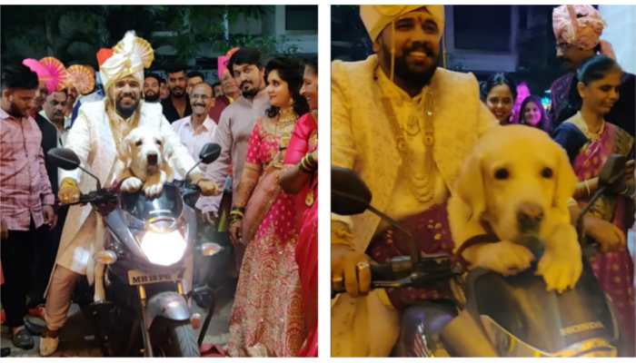 Groom enters wedding venue in SWAG, rides bike with his pet dog- Watch