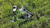 drone found in punjab