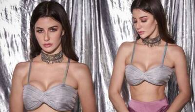 Arbaaz Khan’s girlfriend Giorgia Andriani raises hotness levels in metallic bralette and purple skirt- SEE PICS 