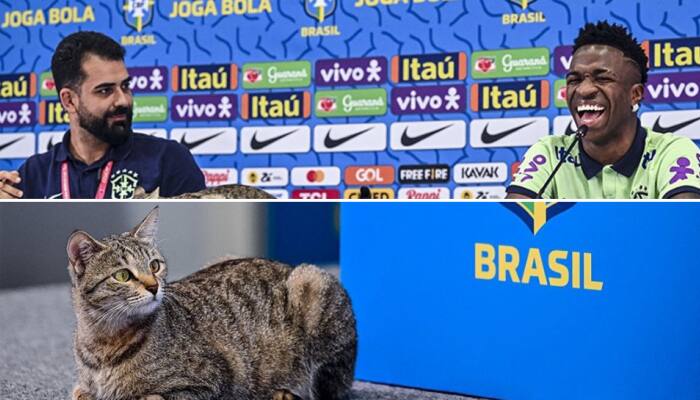 'Don't be Kurt Zouma', Brazil official WARNED by netizens after brutal handling of cat during Vinicius Junior's press conference - FIFA World Cup 2022