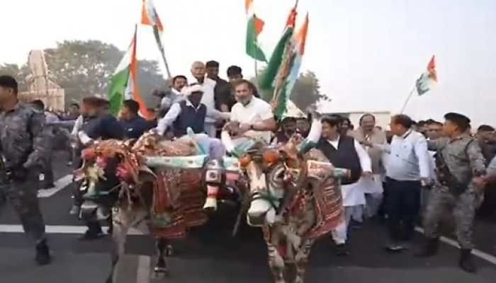 Bharat Jodo Yatra: Rahul Gandhi interacts with people, takes bullock cart ride in Rajasthan’s Bundi- WATCH