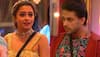 Bigg Boss 16, Day 70-71 Updates: Tina comes back in the house and calls Shalin 'fake,' actor is shocked!