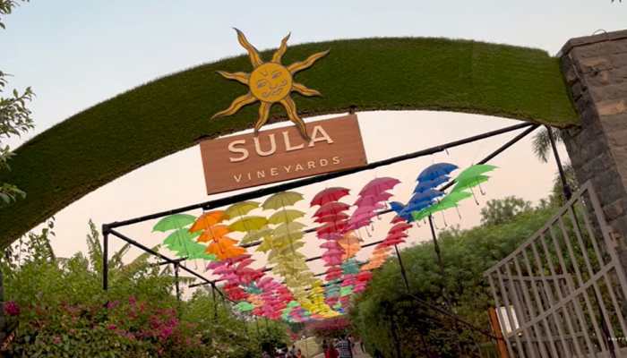 Sula Vineyards IPO opens today: Should you subscribe? Check GMP, issue price and other key details Sula Vineyards IPO opens today: Should you subscribe? Check GMP, issue price and other key details