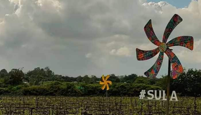 Sula Vineyards IPO Day 2: Check today&#039;s GMP, listing and other details