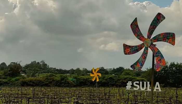 Sula Vineyards IPO Day 2: Check today's GMP, listing and other details