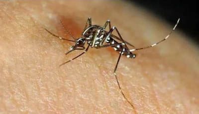Karnataka: What is Zika Virus? Know causes, symptoms and cure