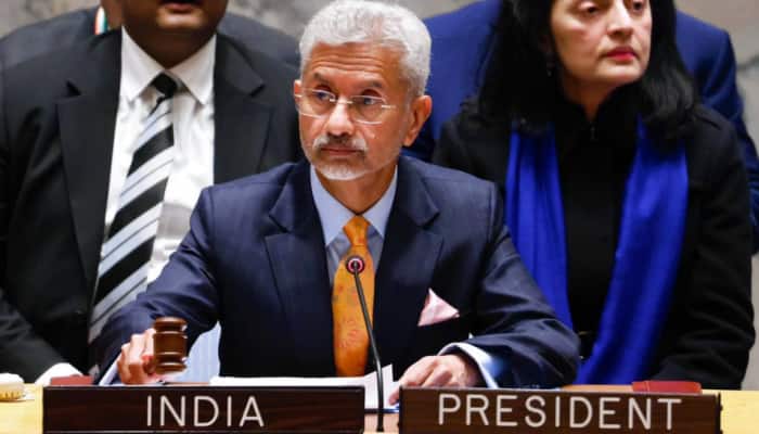 Pakistan rakes Kashmir issue at UNSC, India hits back, says &#039;a country that hosted Osama bin Laden...&#039;