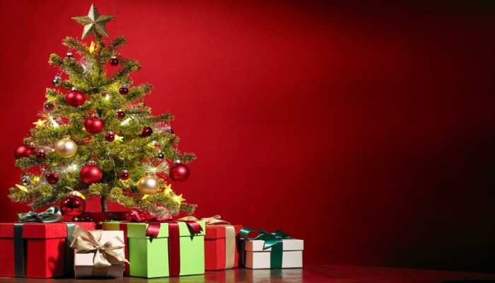 Christmas tree decoration: 6 DIY ideas to decorate your Christmas Tree differently this Xmas