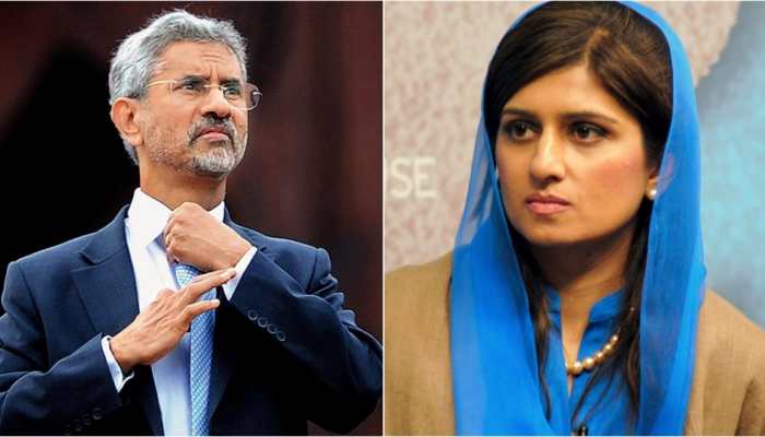 'If you grow SNAKE in your yard, it will BITE...': Jaishankar used Hillary Clinton's remark to WARN Pakistan at United Nation