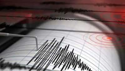 Earthquake in Kinnaur, Himachal Pradesh: Magnitude 3.4 earthquake hits Kinnaur