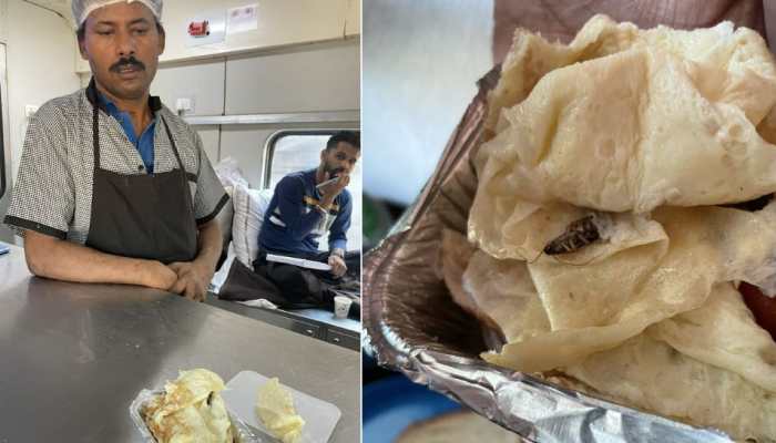 &#039;Shame on you...&#039; Cockroach found in food for toddler on Rajdhani Express, Twitter users slam Indian Railways