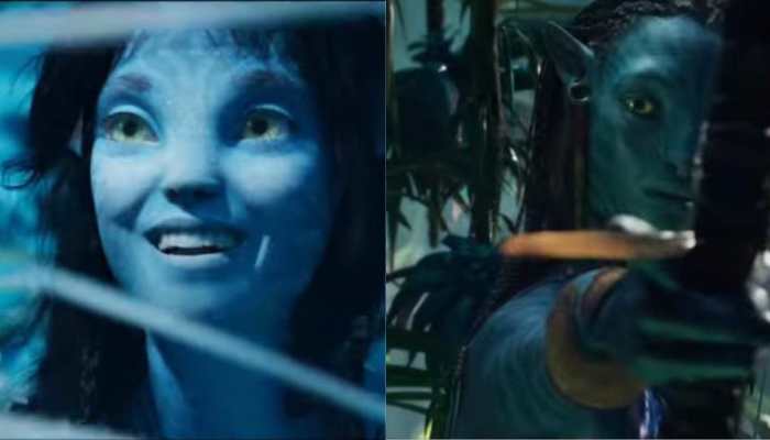 Avatar: The Way of Water remains steady at box office, crosses Rs 80 Cr on Day 2! 