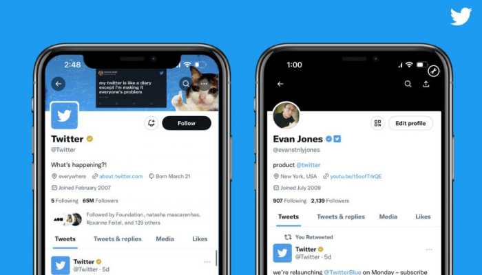 Twitter to roll out 'Blue for Business' feature for companies; Here's all you need to know