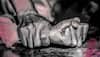Rape accused