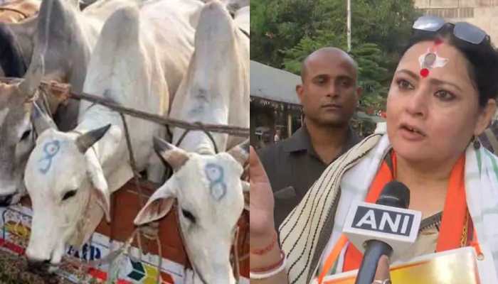 &#039;Cow Smuggling is ON in full swing&#039;, alleges Bengal BJP MLA Agnimitra Paul; TMC hits back