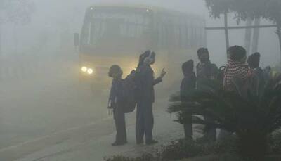 Delhi-NCR Weather Updates: School timings changed in Ghaziabad due to intense cold, fog; bus schedule also changed in Noida - CHECK