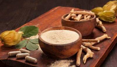 The magical Ashwagandha: 5 Interesting benefits of the Indian herb