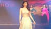 Arbaaz Khan's girlfriend Giorgia Andriani turns up the heat on ramp walk as showstopper for Rosy Ahluwalia at Indian Designer Show - Watch