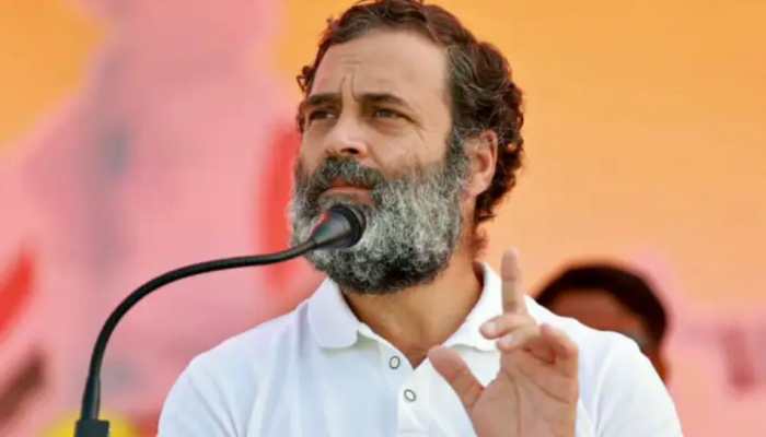 'Govt making excuses...Bharat Jodo Yatra will go to Kashmir...': Rahul Gandhi on Mansukh Mandaviya's letter