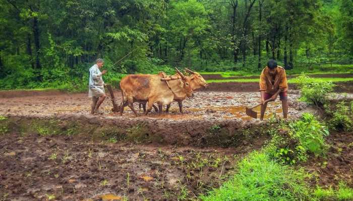 Anand Mahindra pays tribute to Indian farmers on Kisan Diwas 2022 with video making a farmer face with tractors - Watch