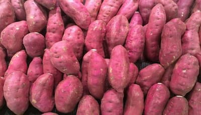 7 Health benefits of sweet potato- the perfect addition to your winter diet