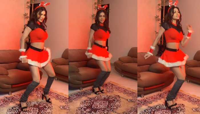 700px x 400px - Sherlyn Chopra turns sexy Santa in new video, netizens bash her brutally  saying 'ye besharmi hai' - Watch | People News | Zee News