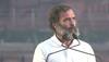 'Dogs, cow, buffaloes, pigs joined Bharat Jodo Yatra, but...': Rahul Gandhi in Delhi