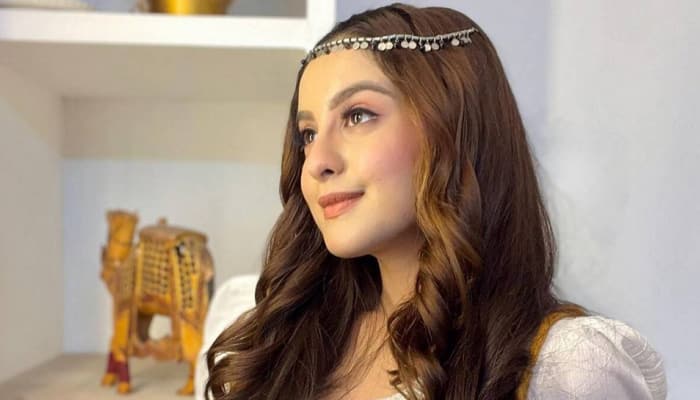 Tunisha Sharma was pregnant? Here's what the post-mortem report says