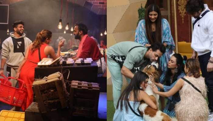 Bigg Boss 16 episode preview: The scramble for ration gets chaotic with surprise nominations, Maahim brings happiness in the house!