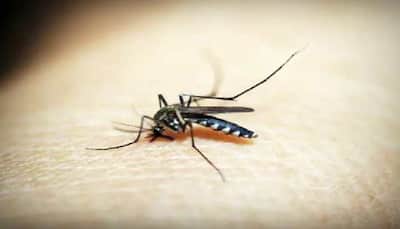 Delhi reports over 4,000 Dengue cases, death toll rises to 7 in national capital