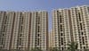 Leopard spotted in Greater Noida West near Ajnara Le Garden society, housing societies on high alert